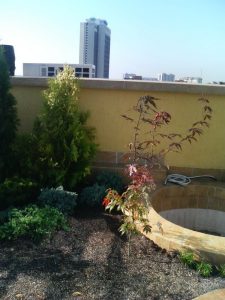 покривно озеленяване на сграда в гр. София