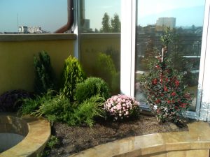 покривно озеленяване на сграда в гр. София