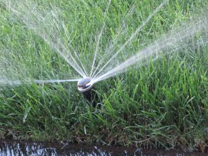 Поливна система кв. Бояна 2-2