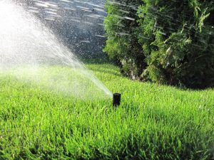 Поливна система кв. Бояна 2-2