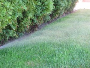 Поливна система кв. Бояна 2-2