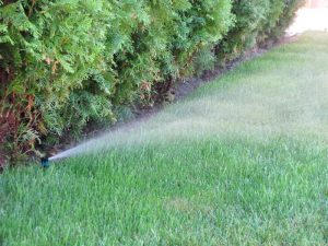 Поливна система кв. Бояна 2-2