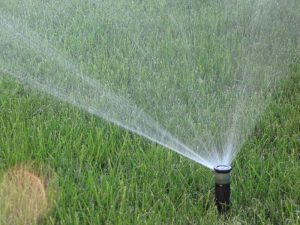 Поливна система кв. Бояна 2-2