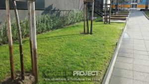 Поливна система на ДСК ОЦ Люлин