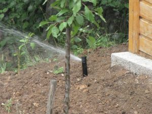 Поливна система в Иваняне