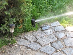 поливна система на двор в София, кв. Обеля