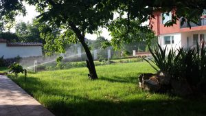 Поливна система в Банкя 4