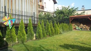 Поливна система в Банкя 3