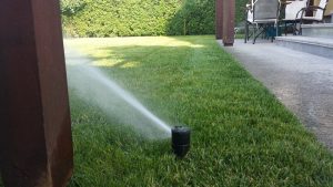 поливна система на двор в София, кв. Обеля