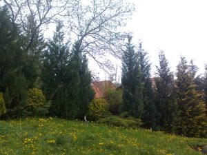 реконструкция на двор в кв. Княжево