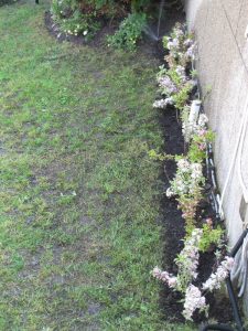 реконструкция на двор в кв. Княжево