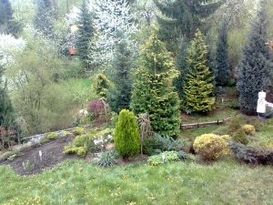 реконструкция на двор в кв. Княжево