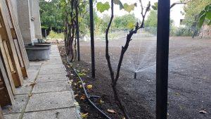 Поливна система в Петърч