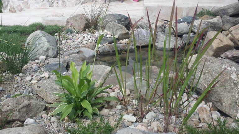 Декоративно езеро в гр. Кресна