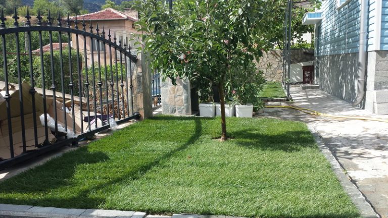 Озеленяване на Двор в Кресна - 2