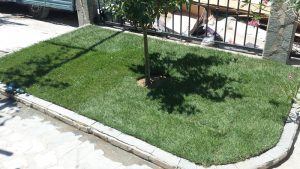 Озеленяване на Двор в Кресна – 2