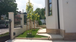 Озеленяване на двор в Драгалевци