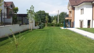 Озеленяване на двор в Драгалевци