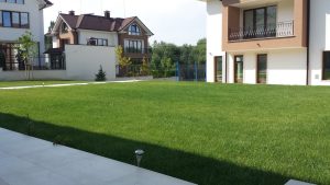 Озеленяване на двор в Драгалевци