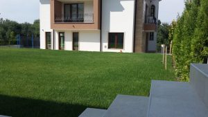 Озеленяване на двор в Драгалевци