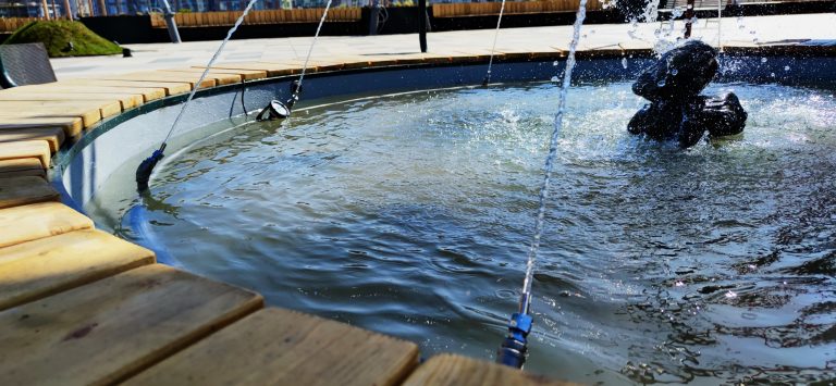 фонтан в Mall Paradise Center