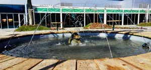 фонтан в Mall Paradise Center