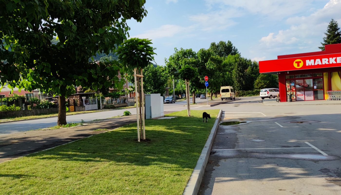Озеленяване Т Маркет – Етрополе