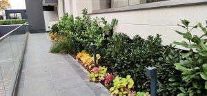 Озеленяване кв. Кръстова вада