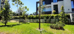 Озеленяване кв. Кръстова вада