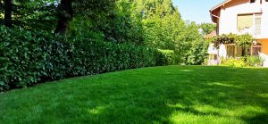 озеленяване във вилна зона Малинова долина