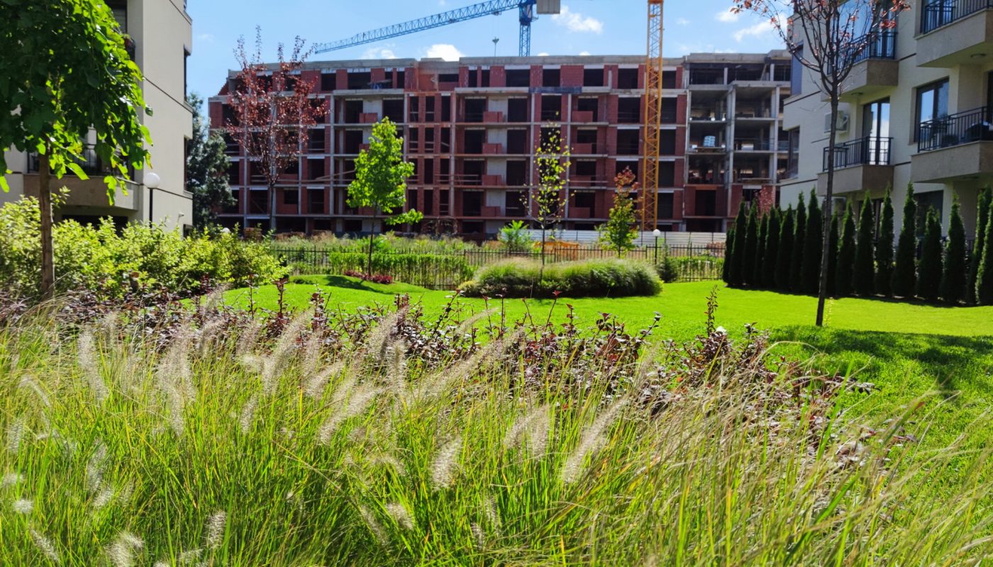 Озеленяване в Студентски град 2