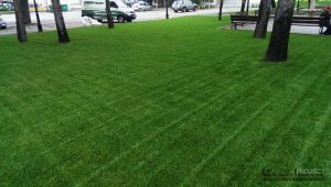 Озеленяване на парка в Мрамор