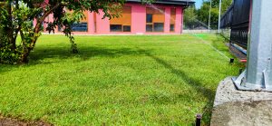 Поливна система Житен