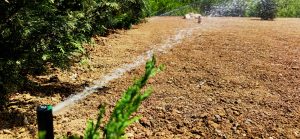 Поливна система в Суходол