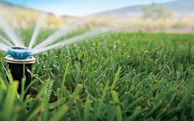 напояване с разпръсквачи,