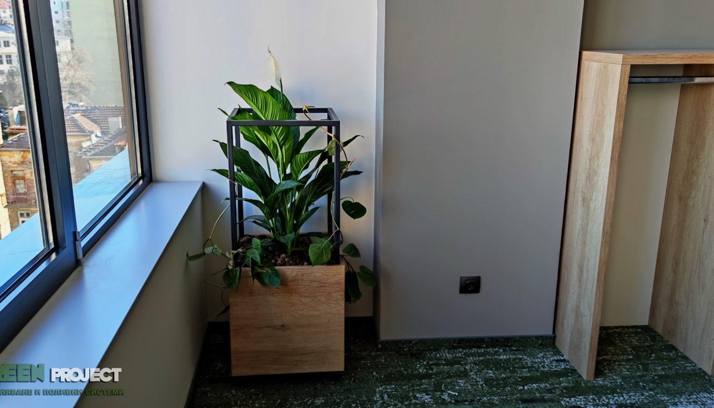 интериорно озеленяване – Банка ДСК бул. Стамболийски – 6