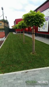 Озеленяване на Фреш маркет – Мрамор