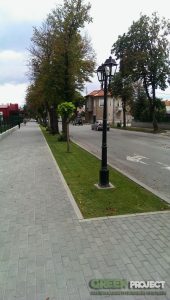 Озеленяване на Фреш маркет – Мрамор