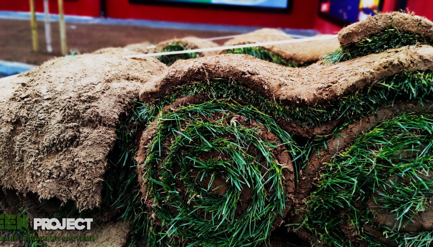 Озеленяване на Фреш маркет Световрачене