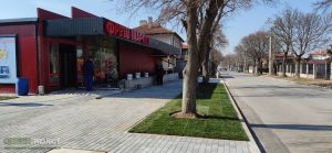 Озеленяване на Фреш маркет Световрачене