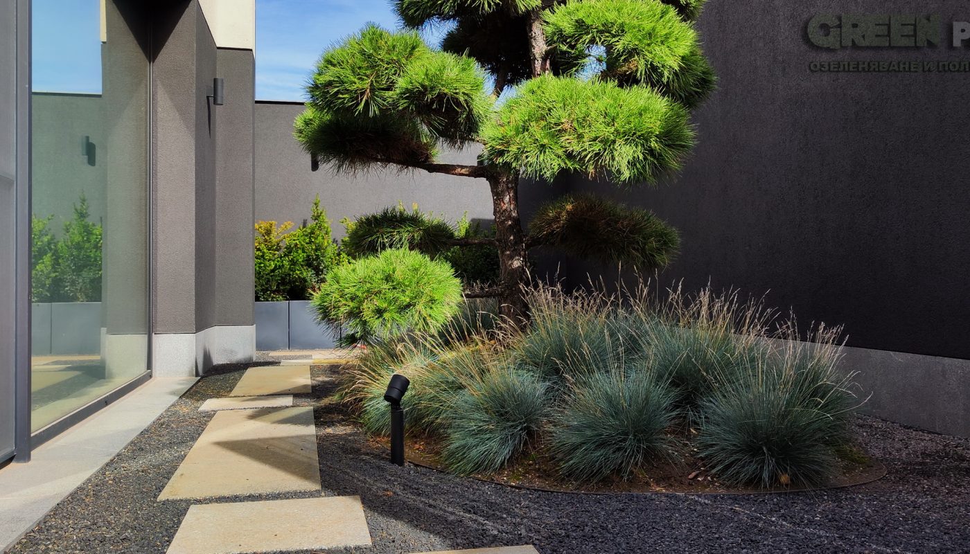 Озеленяване на двор в Драгалевци – 4