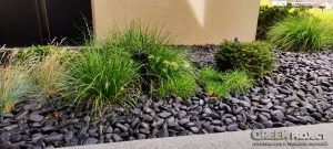 Озеленяване на двор в Драгалевци – 4