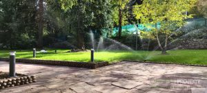 Озеленяване Панчарево 2