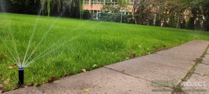 Озеленяване Панчарево 2