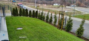 Озеленяване Владая