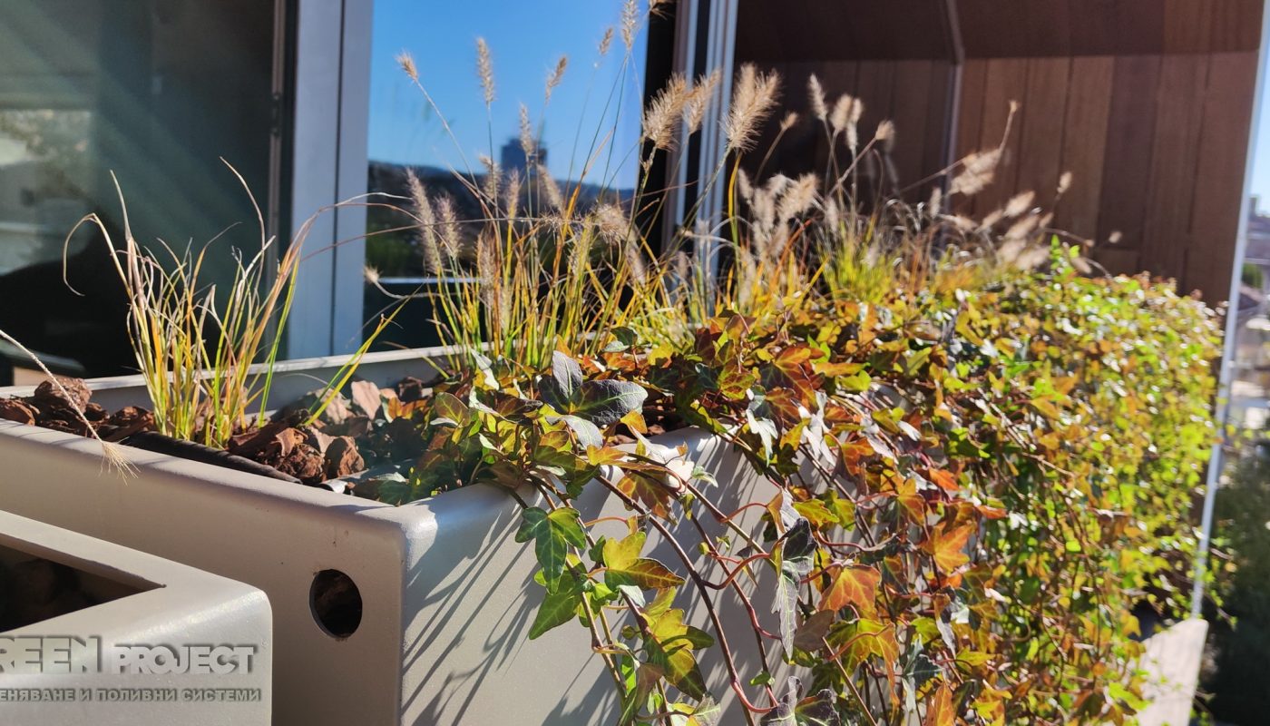 Озеленяване на тераса в ж.к. Яворов