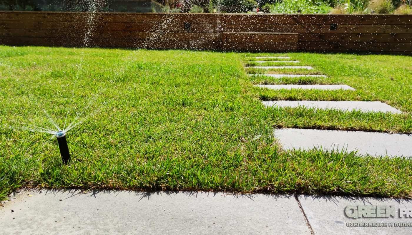 Озеленяване на двор в Драгалевци – 3