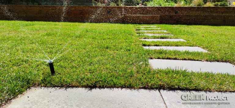 Озеленяване на двор в Драгалевци - 3