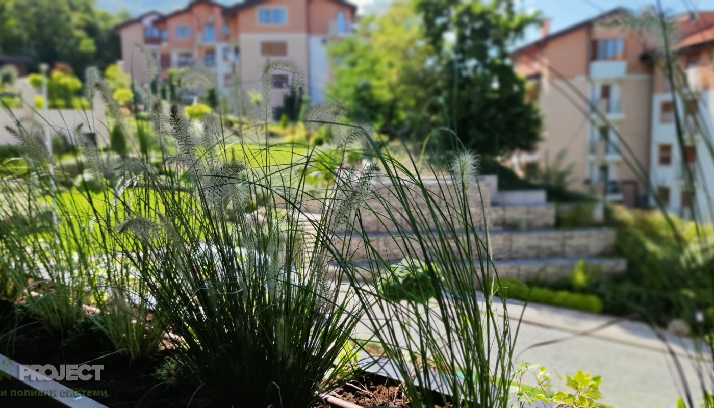 Озеленяване на тераса Еделвайс