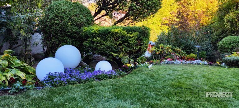 Кога и колко да поливаме растенията през различните сезони в България?